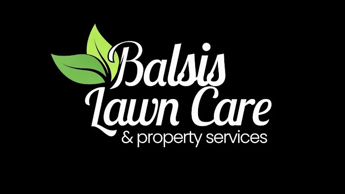 Balsis Lawn Care & Property Services Picture 3