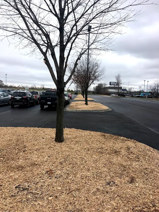 MCA Landscaping Picture 10