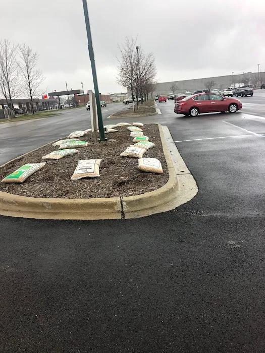 MCA Landscaping Picture 1