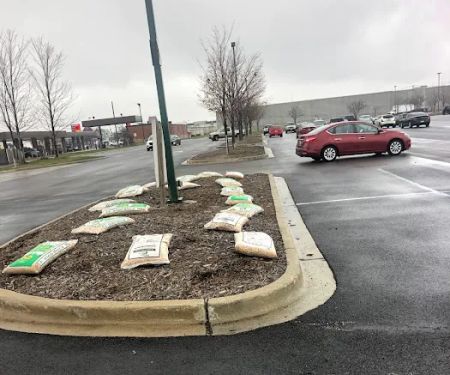 MCA Landscaping