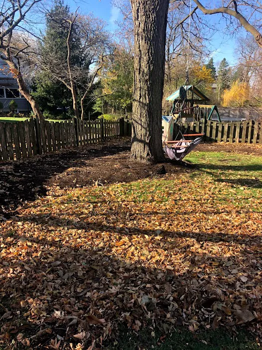 MCA Landscaping Picture 8
