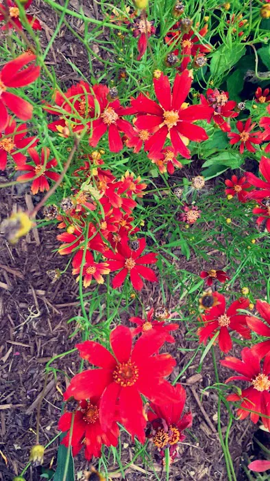 J&J Landscaping Picture 2