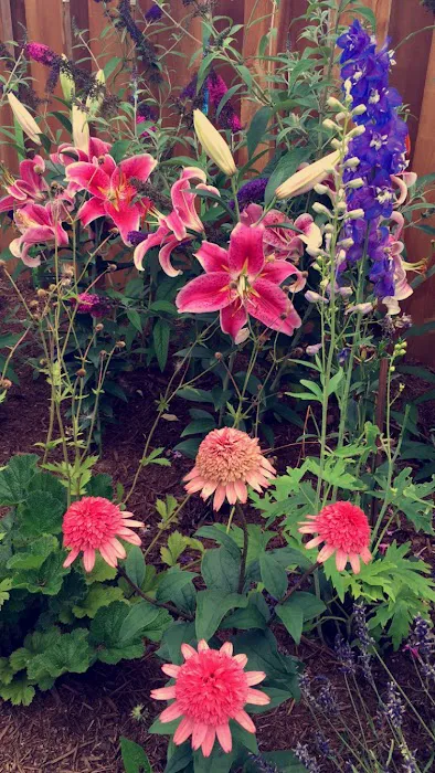J&J Landscaping Picture 4