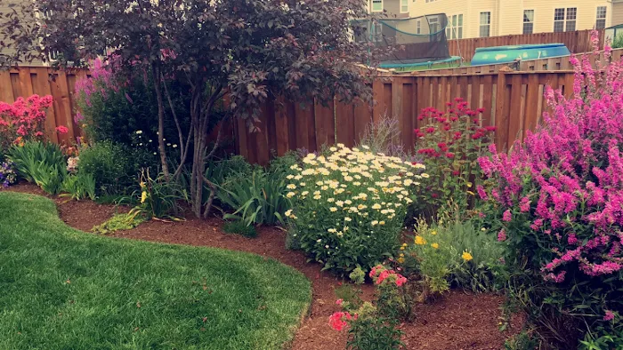 J&J Landscaping Picture 8