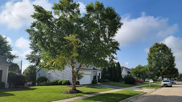Mike's Plowing, Tree & Lawn Svs Picture 1