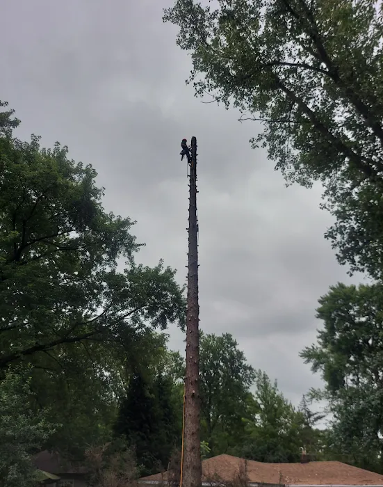 Aguilar Landscaping & Tree Service Picture 6