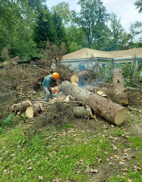 Aguilar Landscaping & Tree Service Picture 7