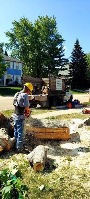 Aguilar Landscaping & Tree Service Picture 1