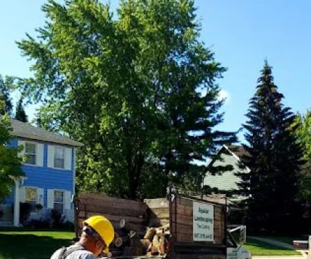 Aguilar Landscaping & Tree Service