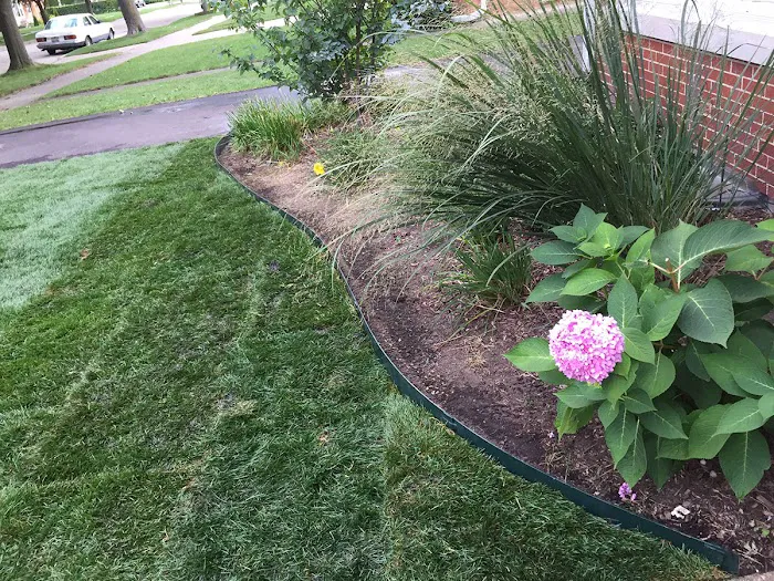 All Seasons Landscaping Picture 3