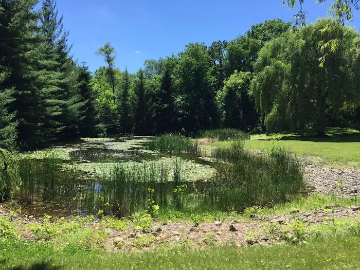 All Seasons Landscaping Picture 4