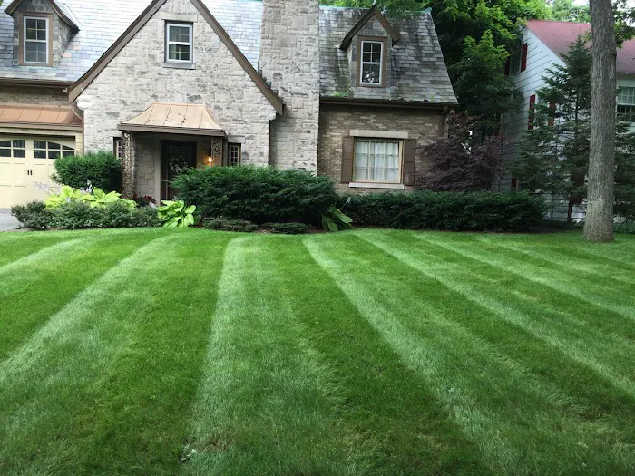 All Seasons Landscaping Picture 5