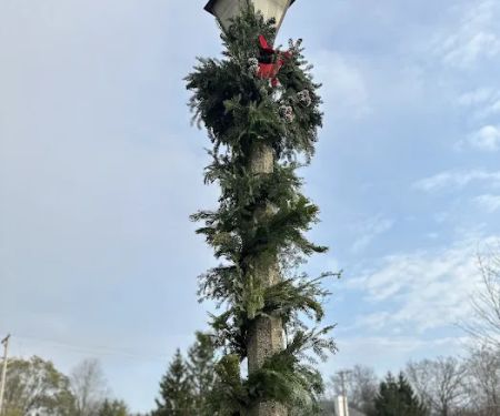 GT Landscaping LLC