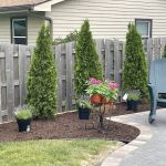 Aurelio Landscaping