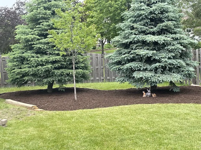 Aurelio Landscaping Picture 7