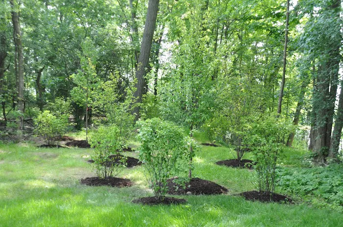 Mike Greco Landscaping Inc Picture 7