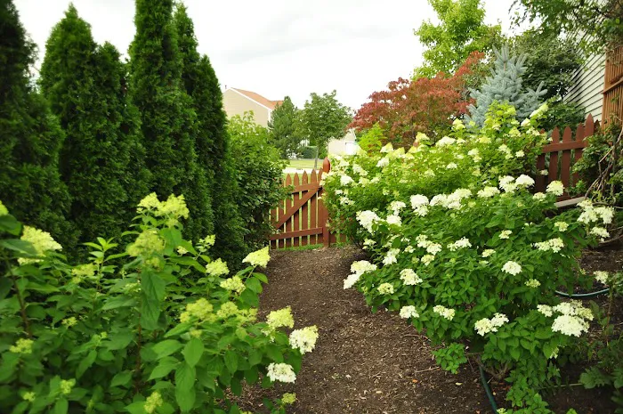Mike Greco Landscaping Inc Picture 3