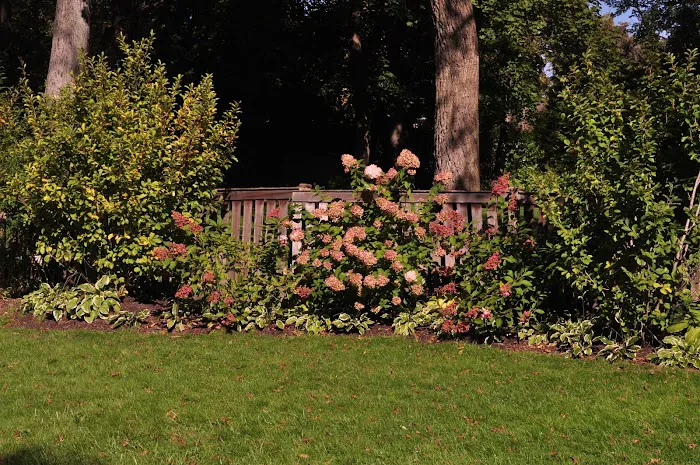 Mike Greco Landscaping Inc Picture 4