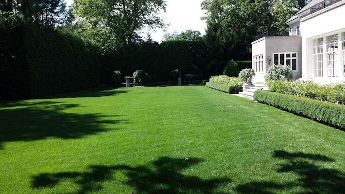 Absolute Landscape Picture 3