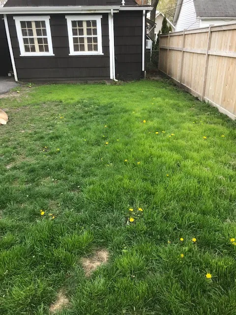 Martin Landscape Inc Picture 3