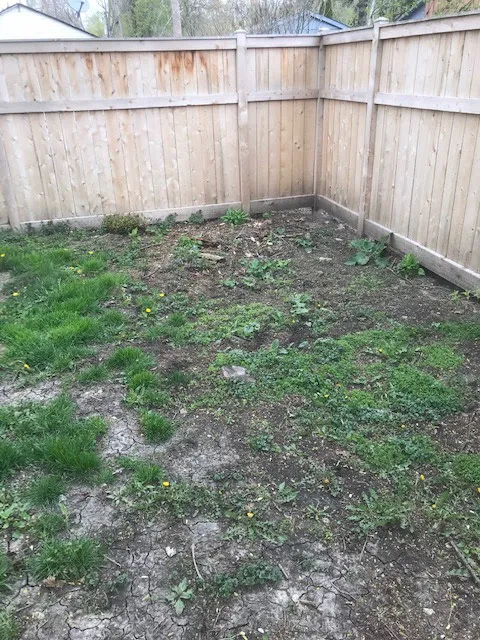 Martin Landscape Inc Picture 5
