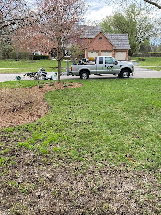 Prime Tree and Lawn Care Picture 8