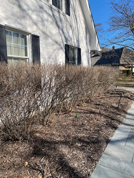 Prime Tree and Lawn Care Picture 5