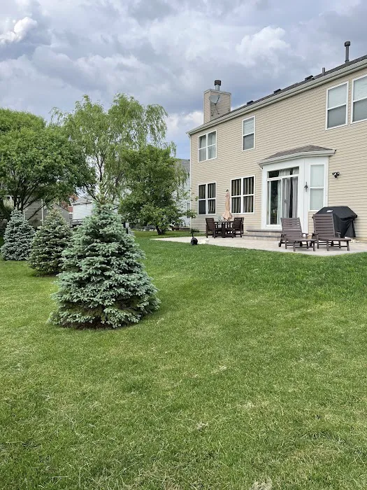 Amaros Landscaping Picture 5