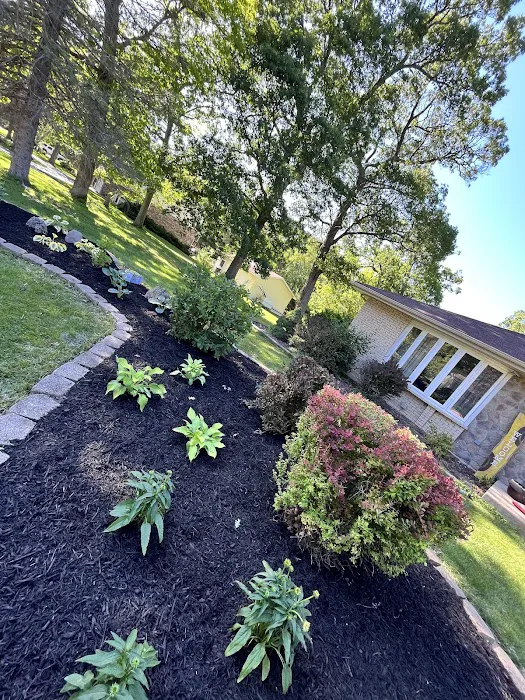 Amaros Landscaping Picture 8