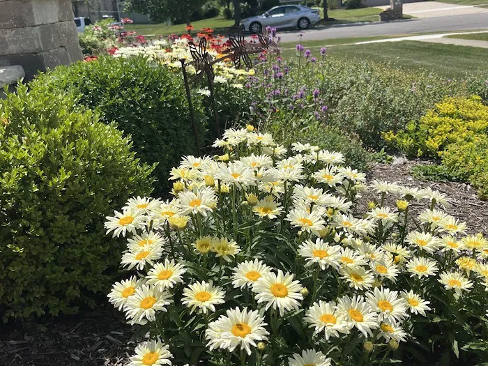 Tunzi & Sons Landscaping Picture 4