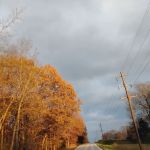 Scenic Landscape