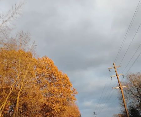 Scenic Landscape