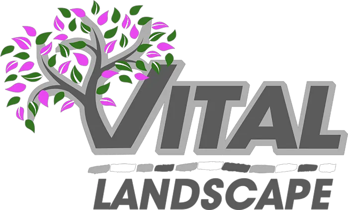 Vital Lawncare and Landscape, Inc Picture 3