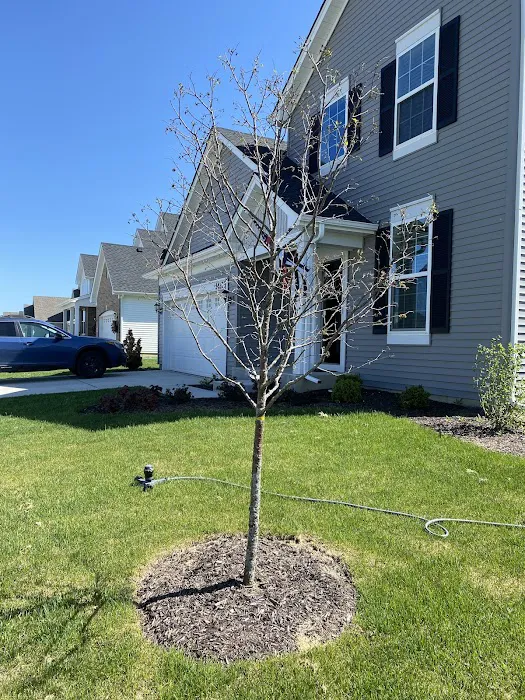 Redbud Landscape Services Inc Picture 8