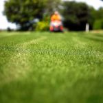 Desiderio Landscaping & Tree Removal