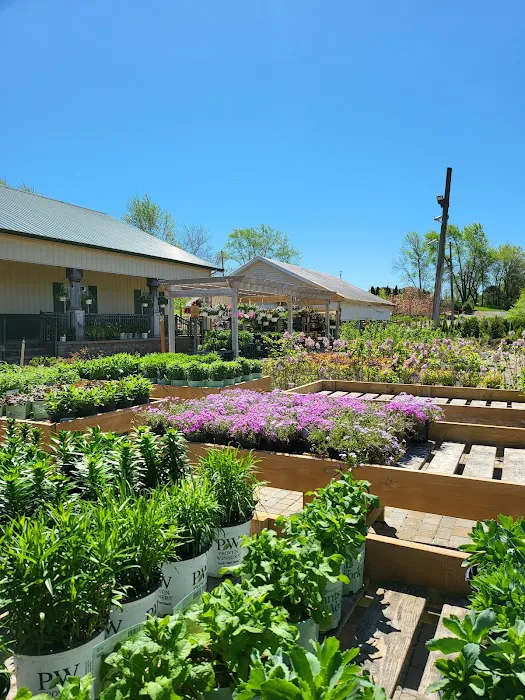 Forever Green Landscape Center Picture 4