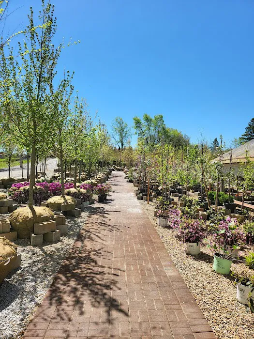 Forever Green Landscape Center Picture 1