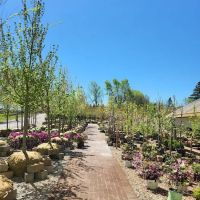 Forever Green Landscape Center ico