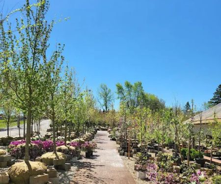 Forever Green Landscape Center
