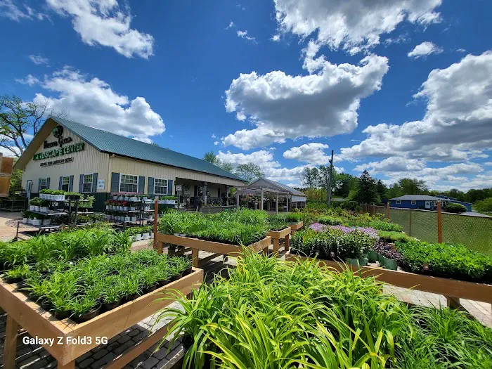 Forever Green Landscape Center Picture 10