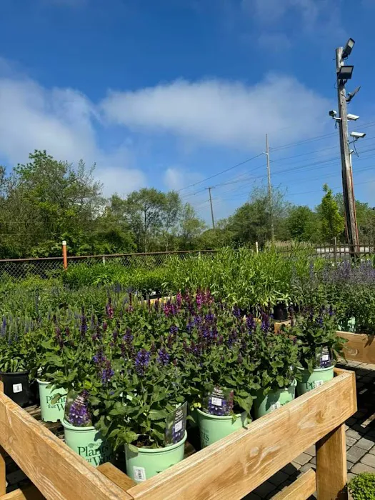 Forever Green Landscape Center Picture 5