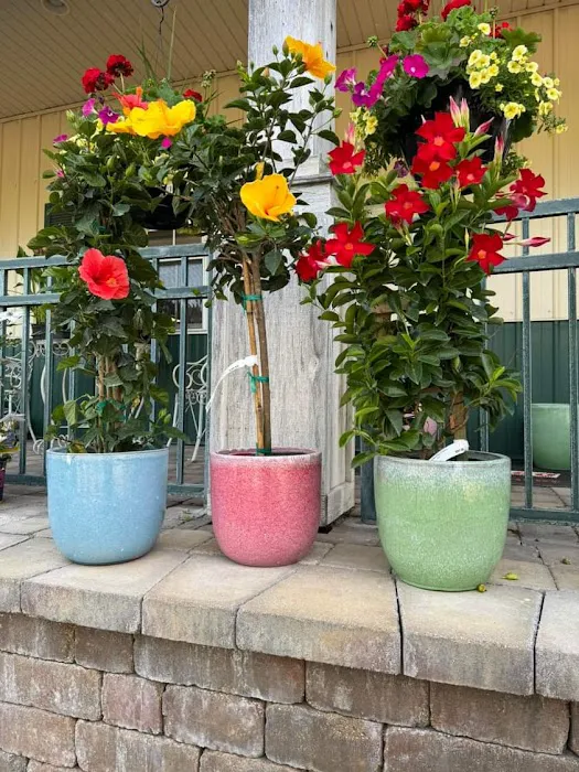Forever Green Landscape Center Picture 6