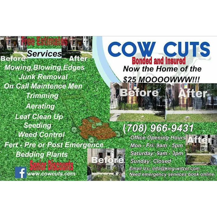 Cow Cuts Picture 2