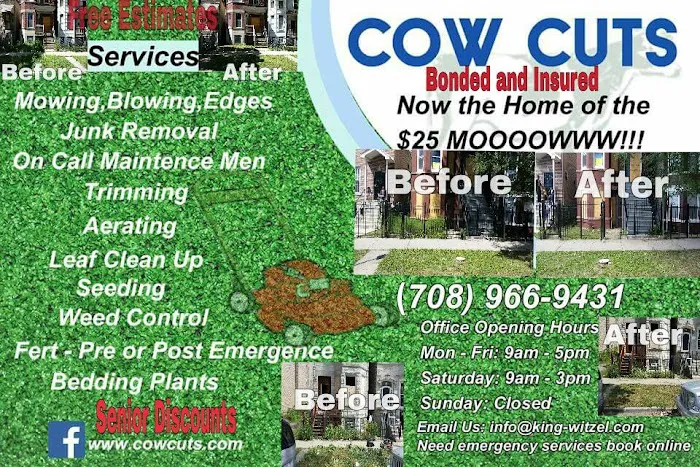 Cow Cuts Picture 1