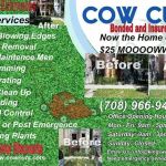 Cow Cuts