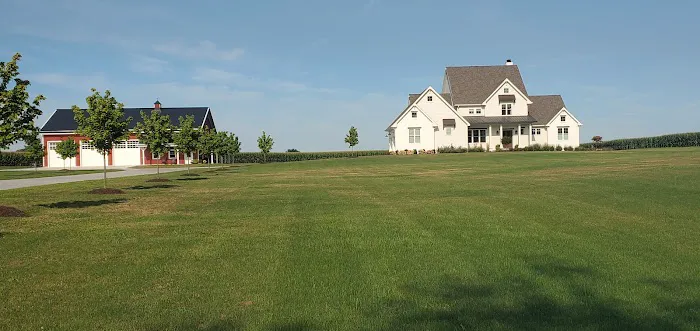 TruGreen Lawn Care Picture 7