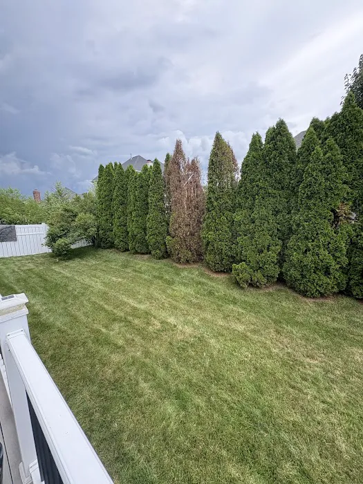 TruGreen Lawn Care Picture 3