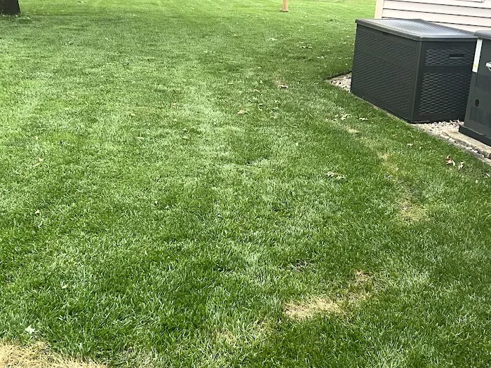 TruGreen Lawn Care Picture 6