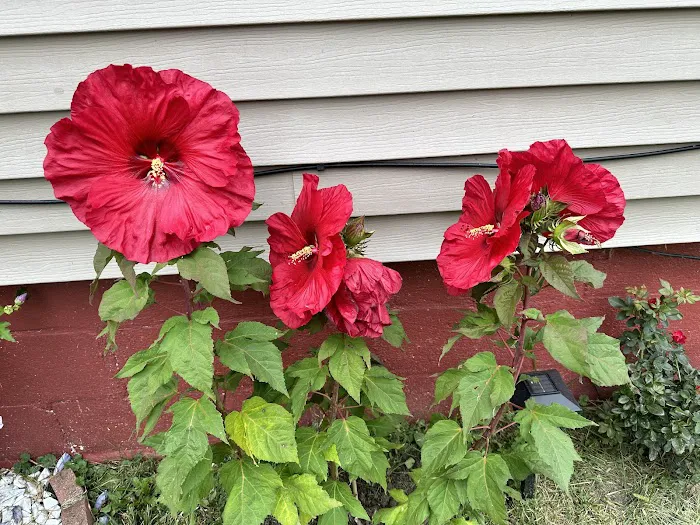 Hubinger Landscaping Corporation Picture 8