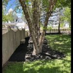 New Leaf Services LLC